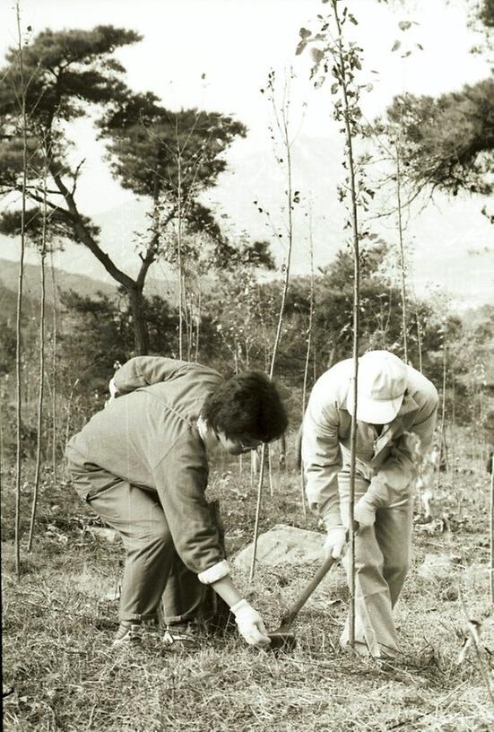 산림청 주관 제6회 육림의 날