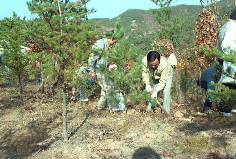 산림청 주관 제6회 육림의 날