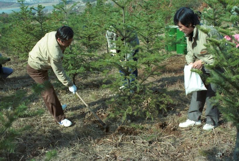 산림청 주관 제6회 육림의 날