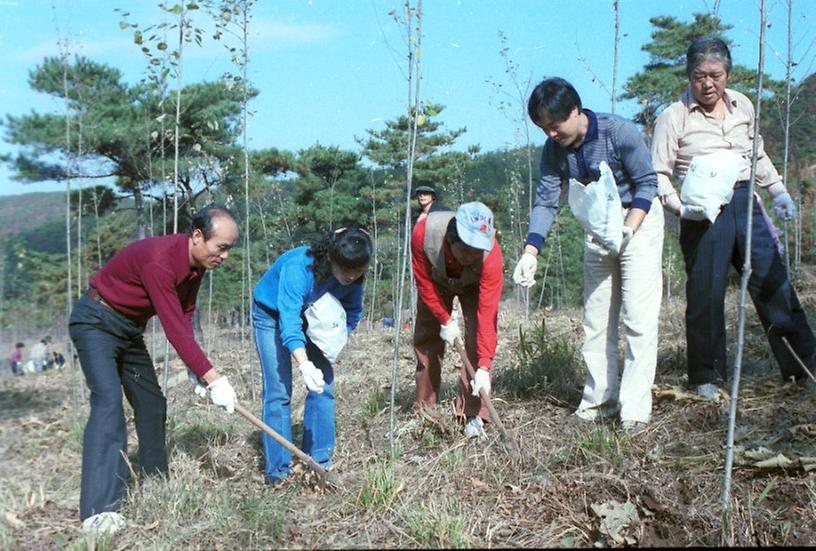 산림청 주관 제6회 육림의 날