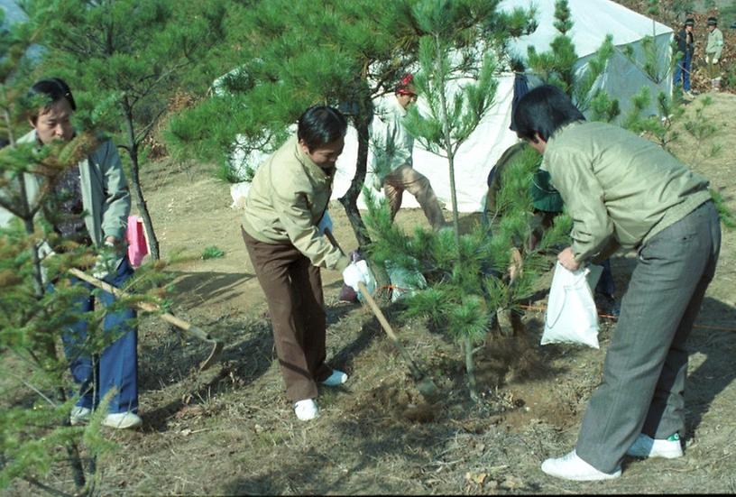 산림청 주관 제6회 육림의 날