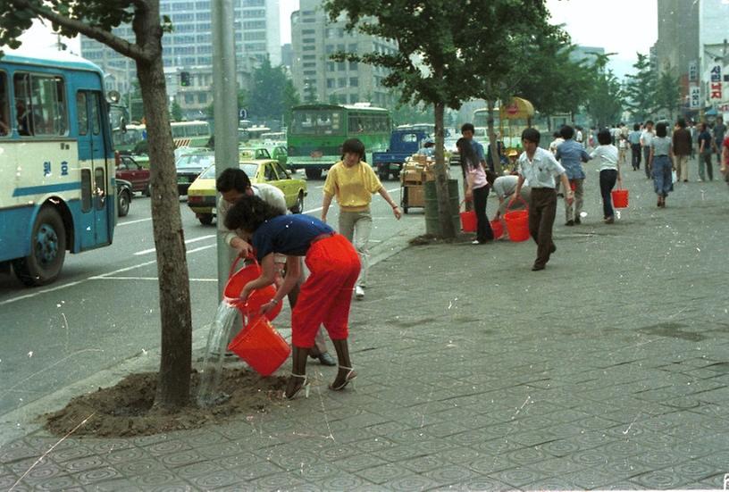 1982년 식재 수목 시민 물주기 운동