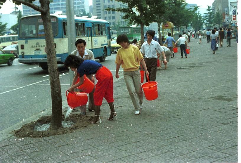 1982년 식재 수목 시민 물주기 운동