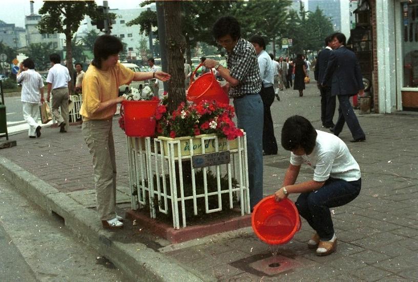 1982년 식재 수목 시민 물주기 운동