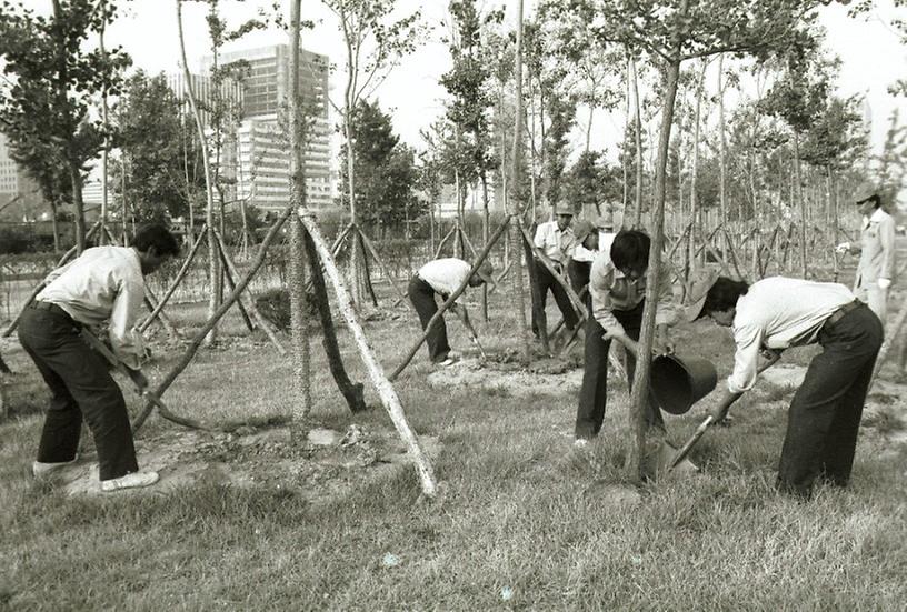 1982년 식재 수목 시민 물주기 운동