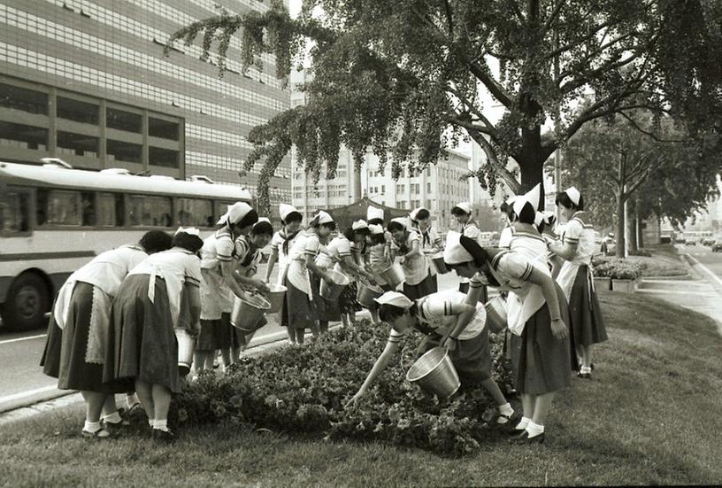 1982년 식재 수목 시민 물주기 운동