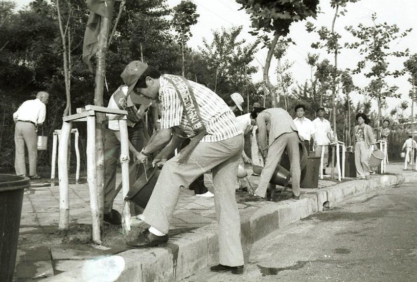 1982년 식재 수목 시민 물주기 운동
