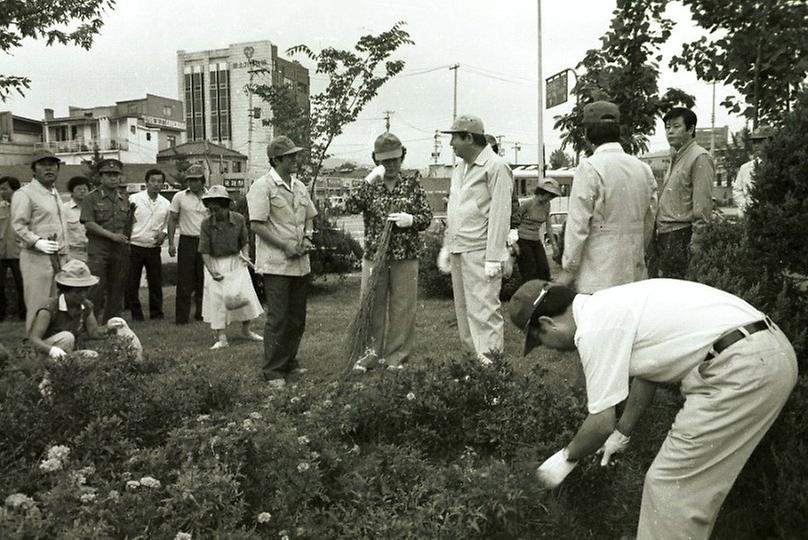 새마을, 건강한 서울만들기 캠페인