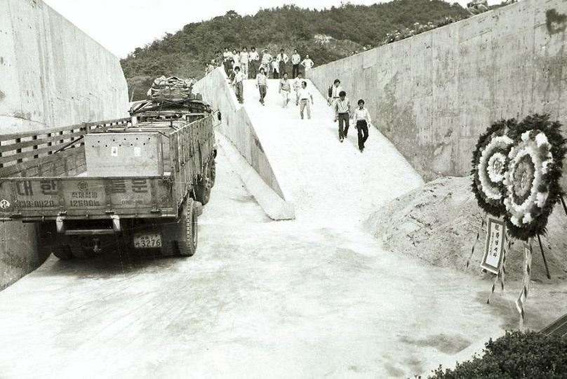 우리나라에 첫 입국한 아프리카산 치타