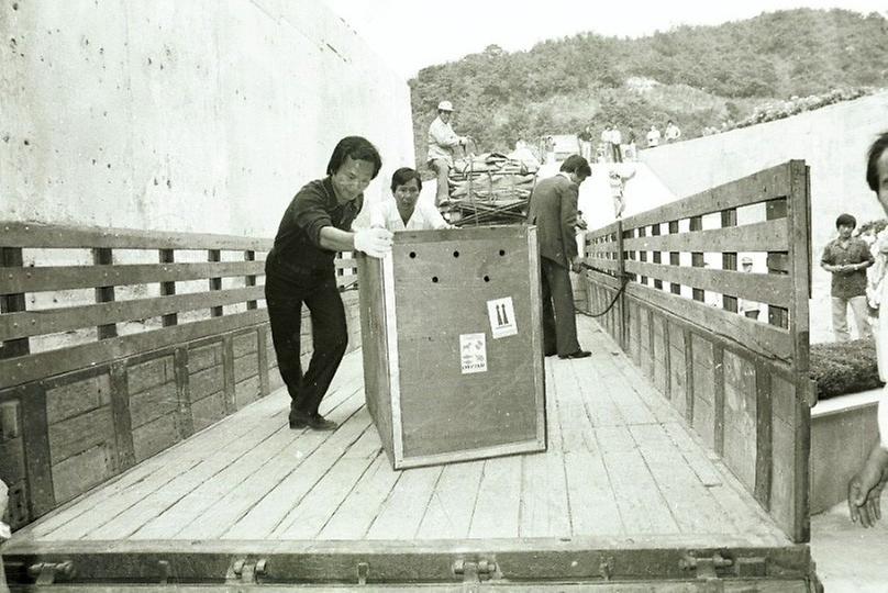 우리나라에 첫 입국한 아프리카산 치타