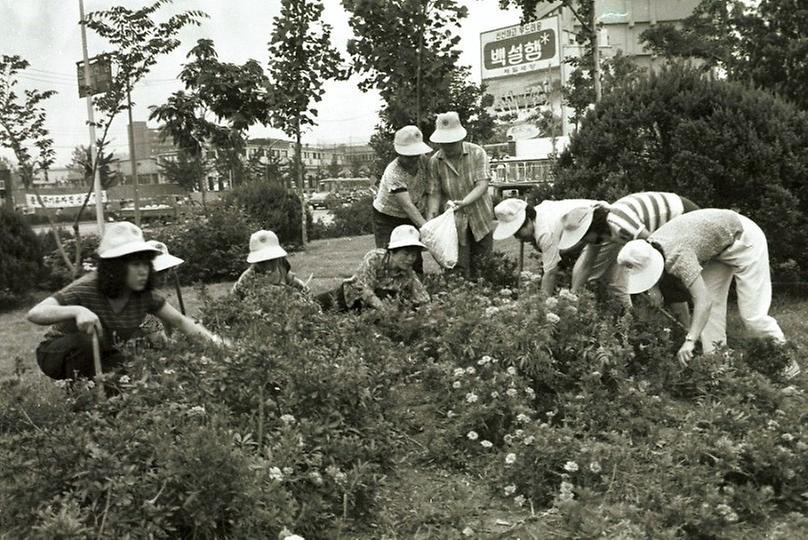 새마을, 건강한 서울만들기 캠페인