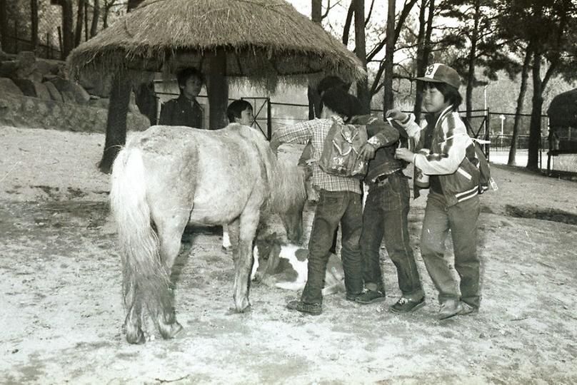 염보현 서울시장, 어린이 대공원 시찰