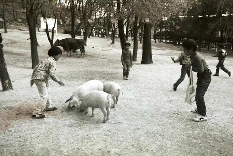 염보현 서울시장, 어린이 대공원 시찰