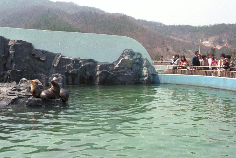 서울 대공원 개원