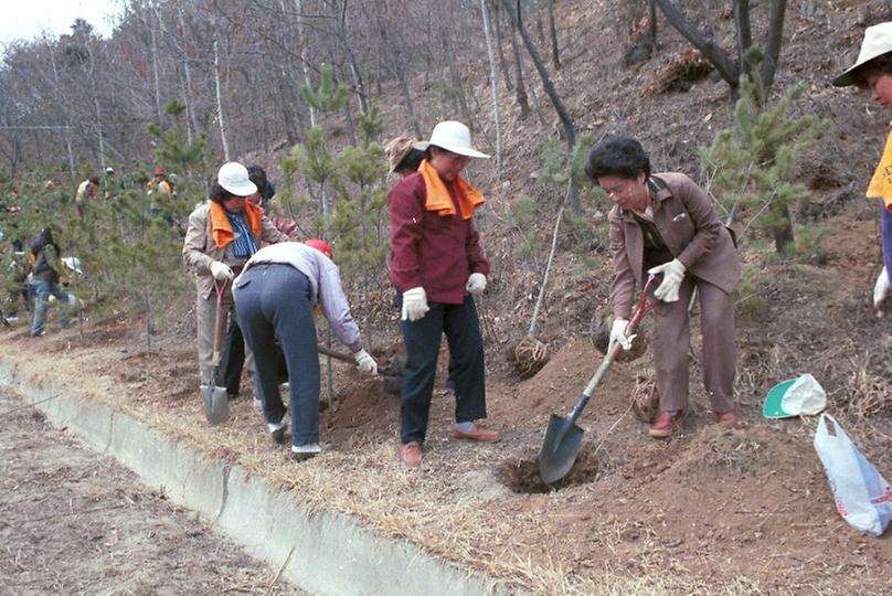 새살림회 나무 식수 및 대공원 구경