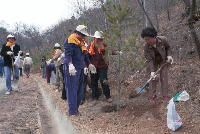 새살림회 나무 식수 및 대공원 구경