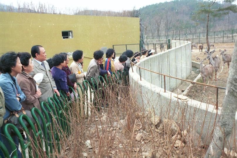 새살림회 나무 식수 및 대공원 구경