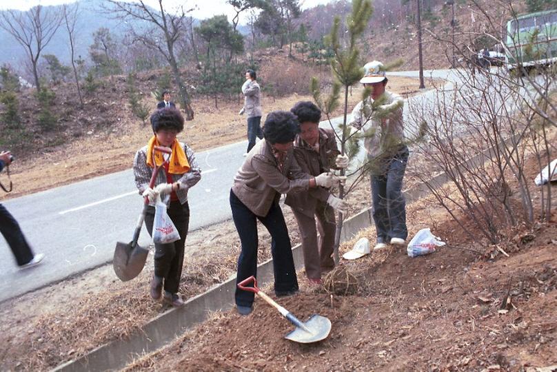 새살림회 나무 식수 및 대공원 구경