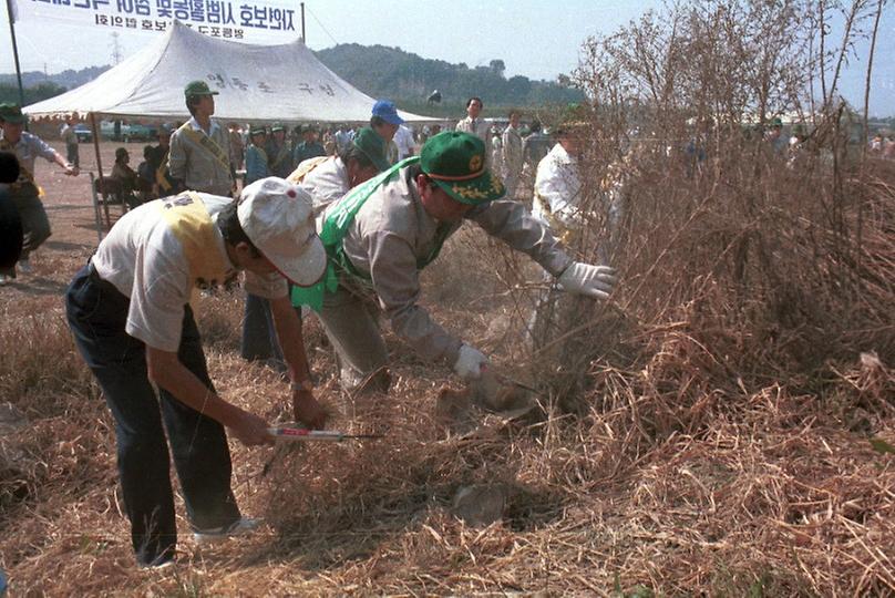 자연보호 시범활동 및 참여 촉진대회