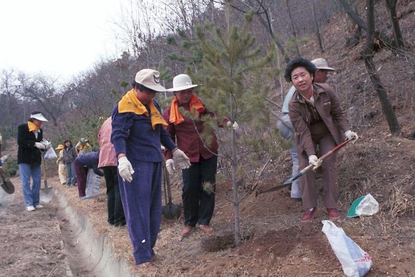 새살림회 나무 식수 및 대공원 구경