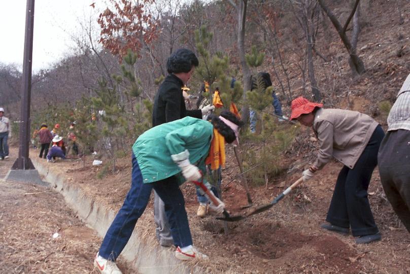 새살림회 나무 식수 및 대공원 구경