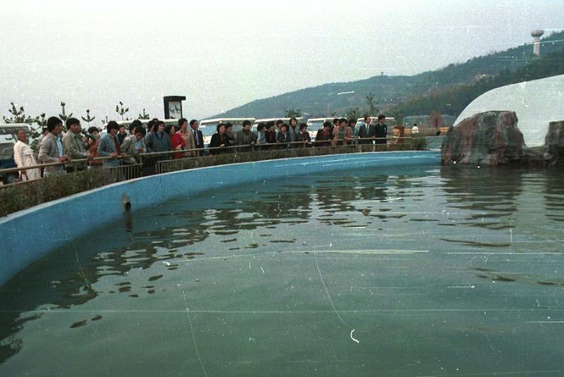 새살림회, 서울 대공원 시찰