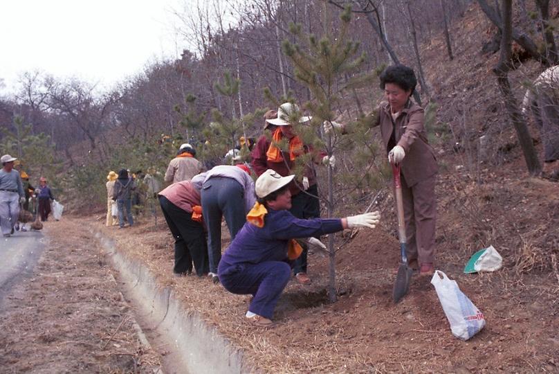 새살림회 나무 식수 및 대공원 구경