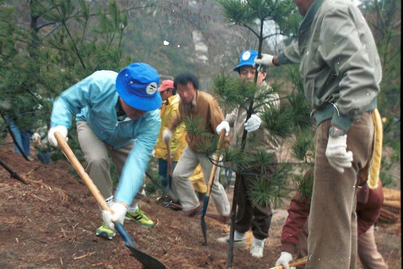 제39회 식목일 행사