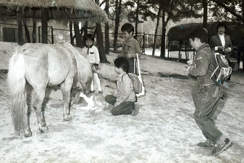 염보현 서울시장, 어린이 대공원 시찰