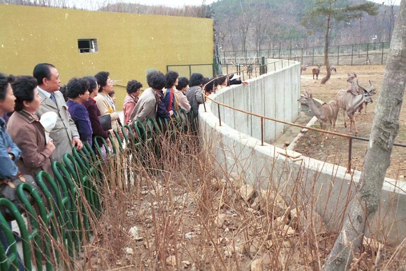 새살림회 나무 식수 및 대공원 구경