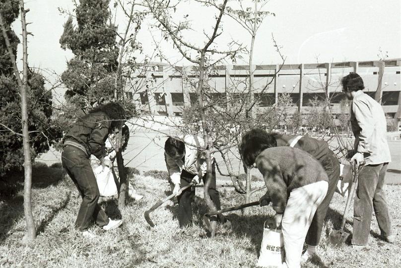 육림의 날 행사