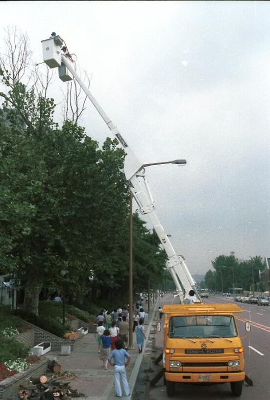 가로수 정비작업