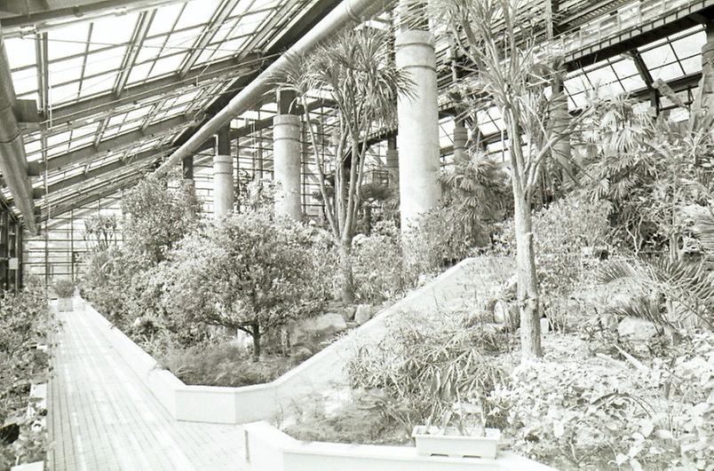 서울대공원 식물원 개원