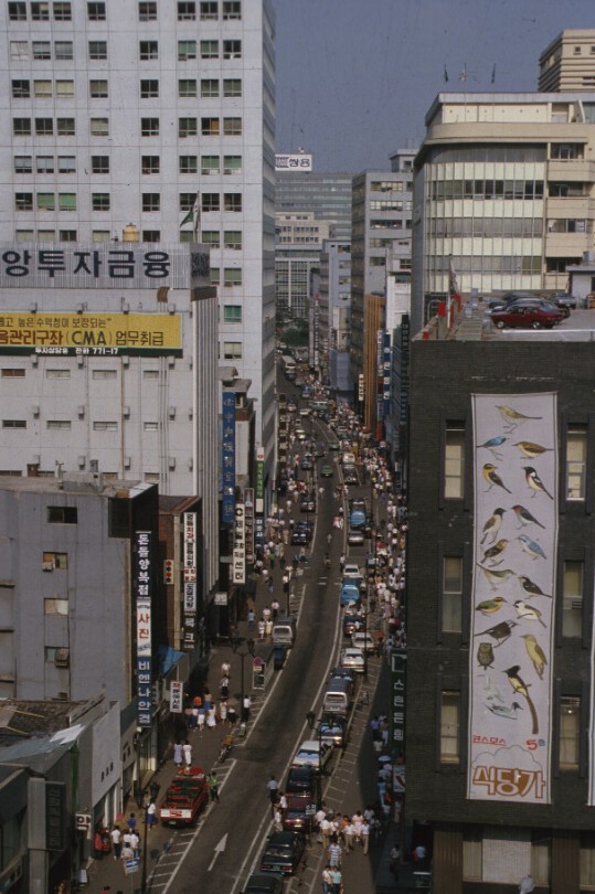 서울시내 일대 모습