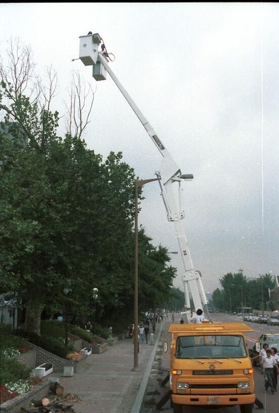 가로수 정비작업