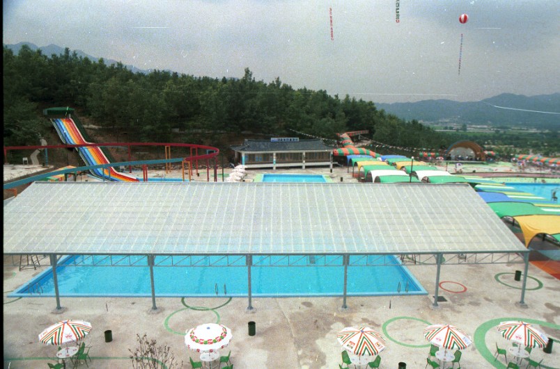 서울대공원 수영장개장