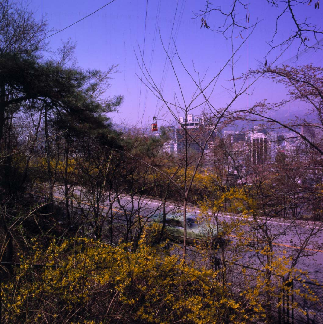 서울시 환경 관련 시정사진 : 자연경관