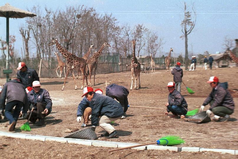 과천서울대공원 봄맞이 환경정비