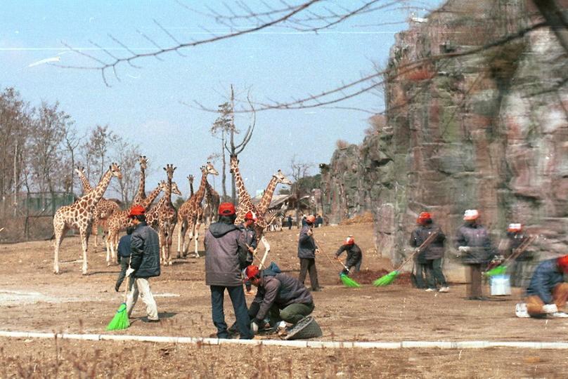 과천서울대공원 봄맞이 환경정비