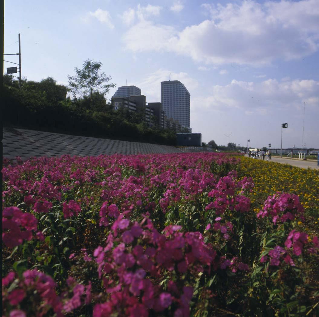 1986년 서울 아시아 경기대회 개막