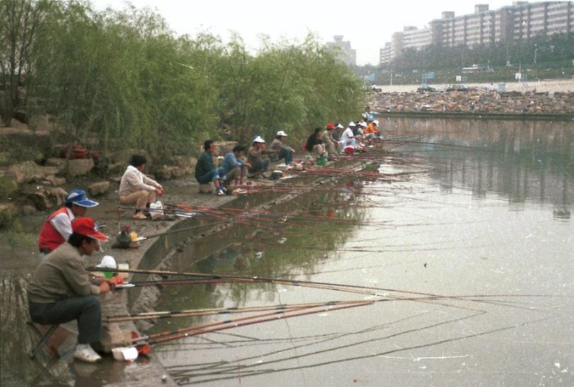 서울시장, 한강고수부지 시찰