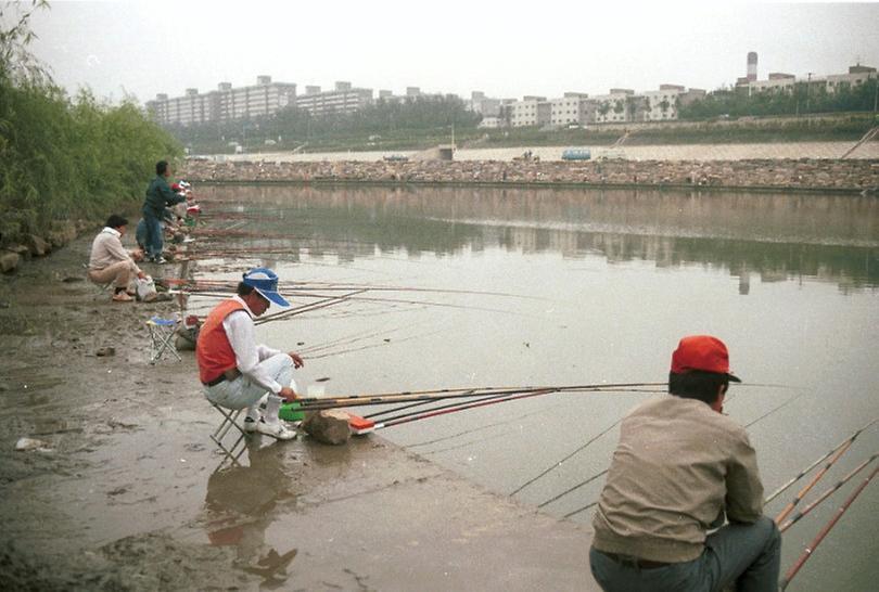 서울시장, 한강고수부지 시찰