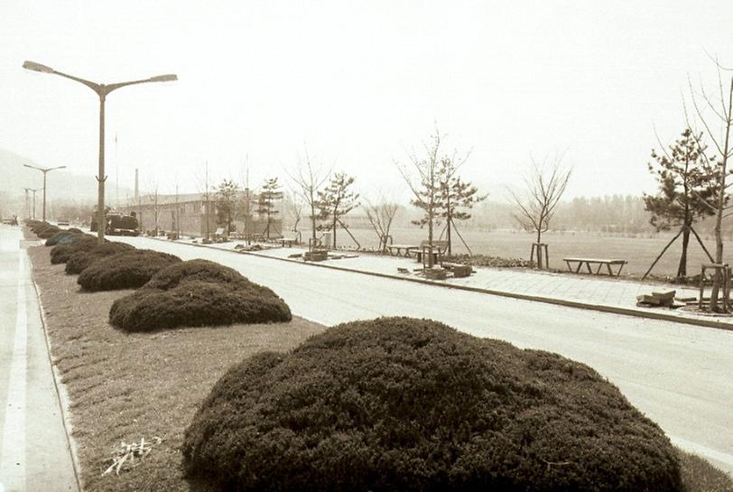 보라매 공원