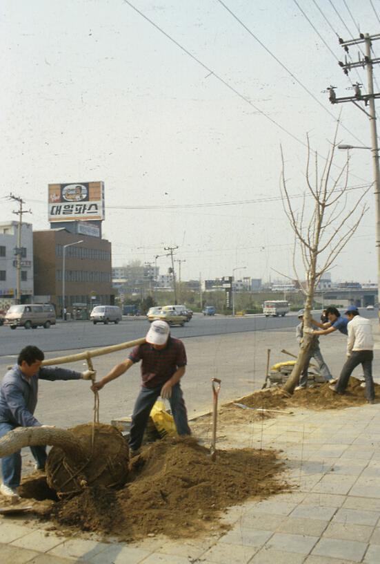 1987년 4월 남산 일원 전경