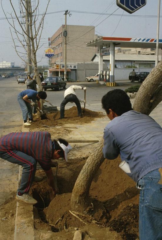 1987년 4월 남산 일원 전경