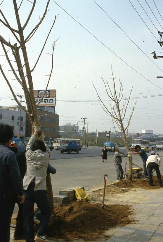 1987년 4월 남산 일원 전경