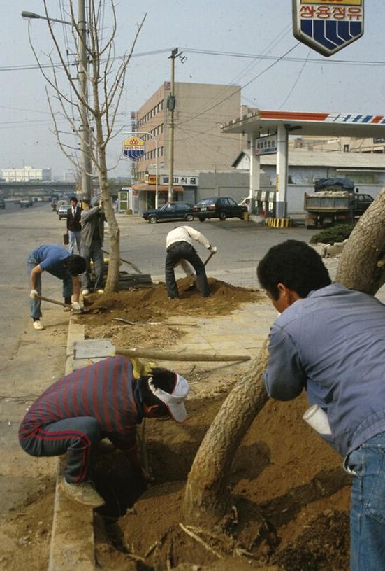 1987년 4월 남산 일원 전경