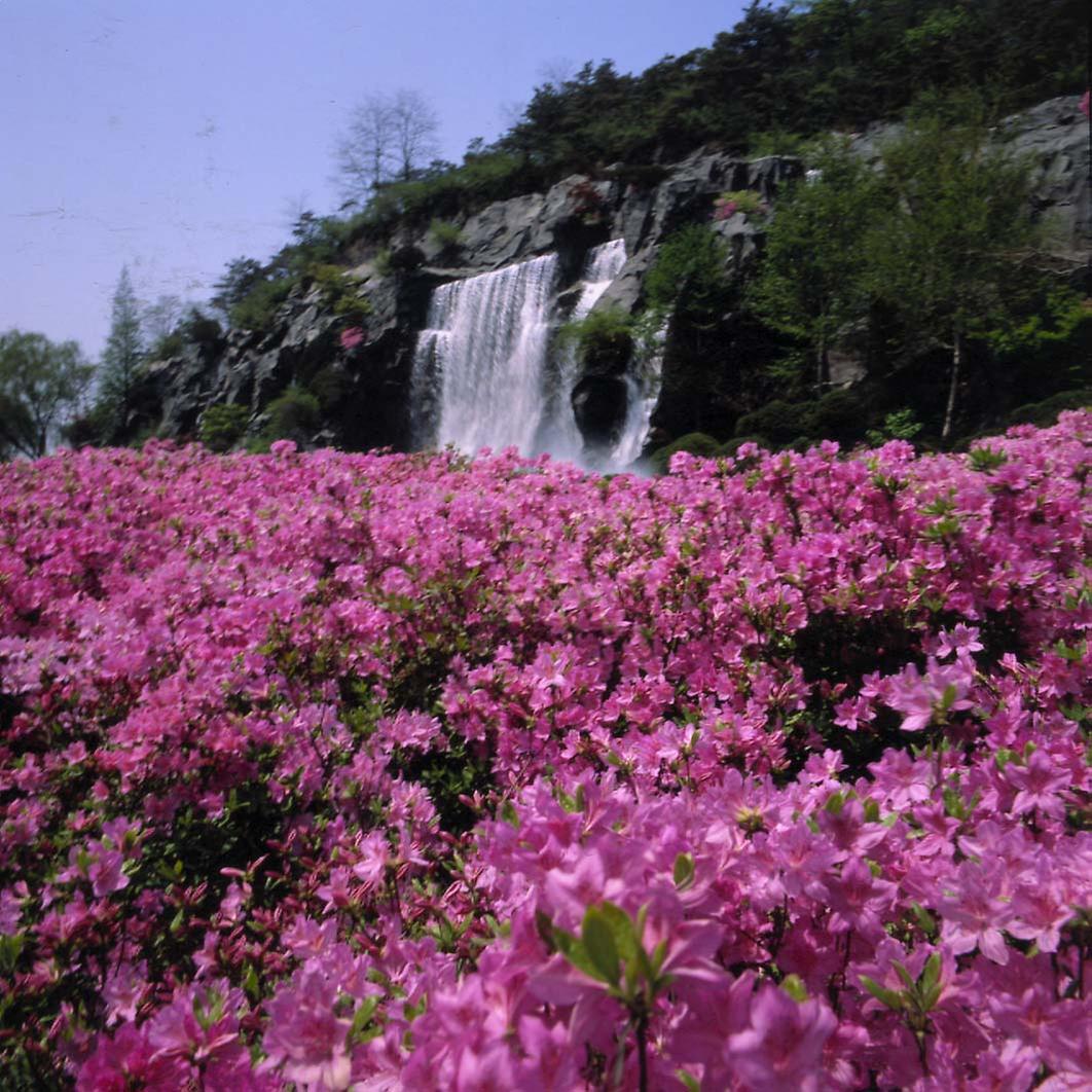 파리공원 조성계획