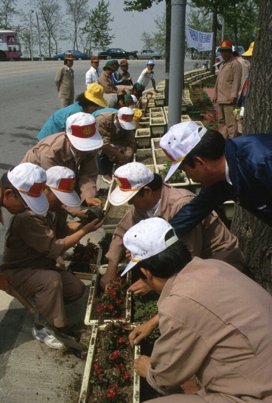 올림픽로 꽃 심기