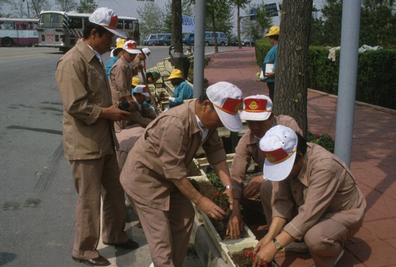 올림픽로 꽃 심기